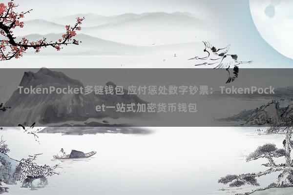 TokenPocket多链钱包 应付惩处数字钞票：TokenPocket一站式加密货币钱包