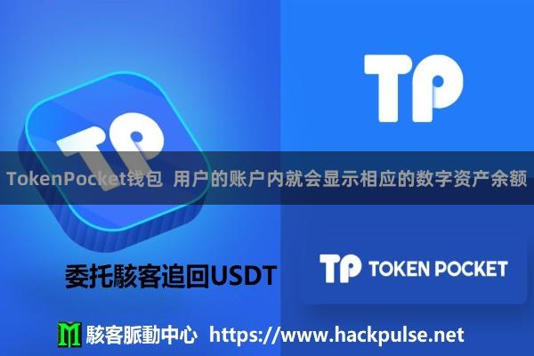 TokenPocket钱包  用户的账户内就会显示相应的数字资产余额